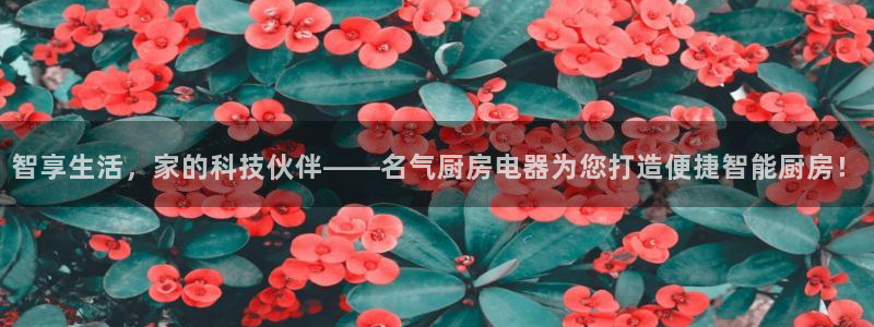 鸿运外贸直播平台