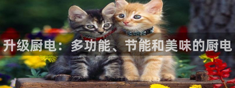 鸿运棋牌app平台
