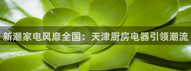 鸿运锦囊是什么平台