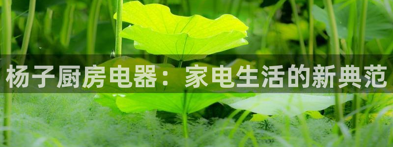 鸿运赌场视讯平台