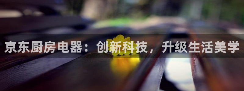 鸿运团队赚钱平台