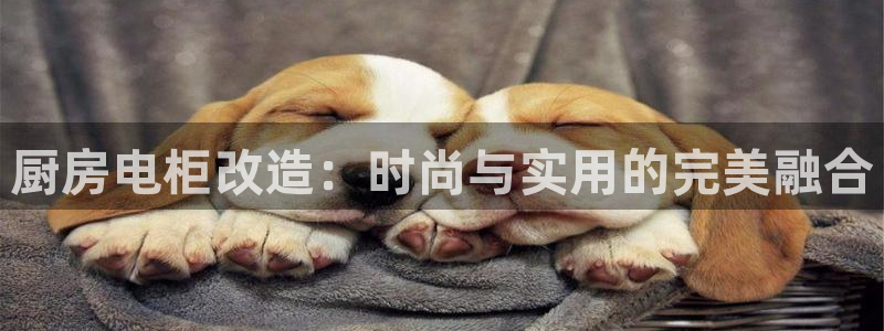 鸿运平台骗局曝光