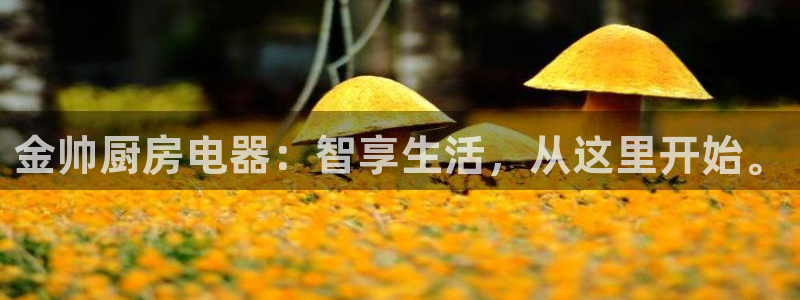 鸿运彩票平台下载