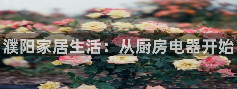 彩票鸿运直播平台