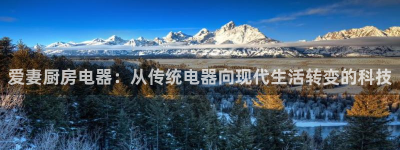 琥珀鸿运平台挣钱真实吗