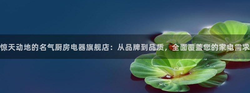 鸿运通什么平台