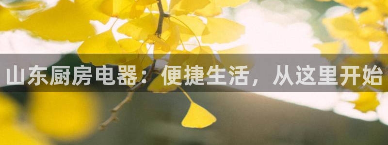 鸿运升降机械平台