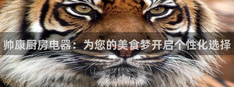 鸿运娱乐代理平台