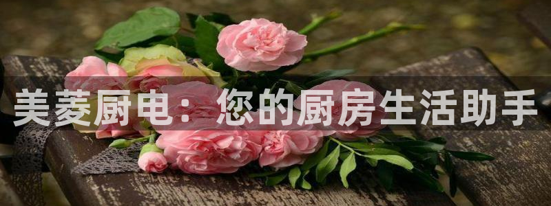 鸿运国际娱平台