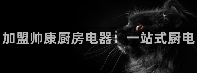 鸿运国际体育平台