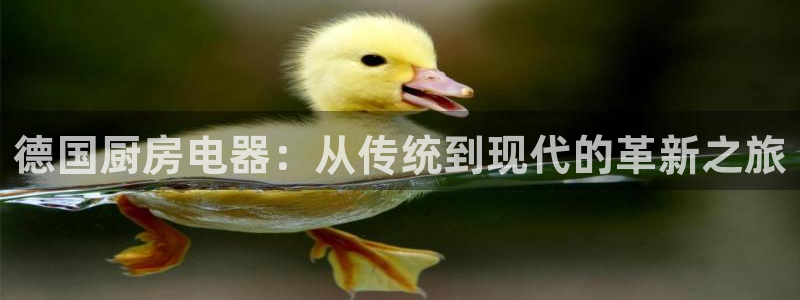 鸿运28微信平台