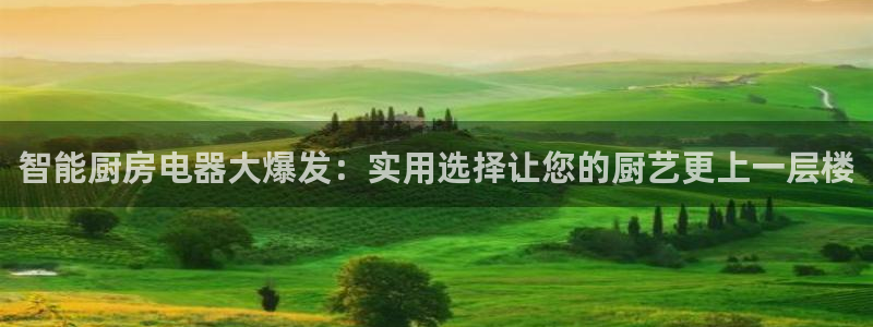 鸿运游戏直播平台