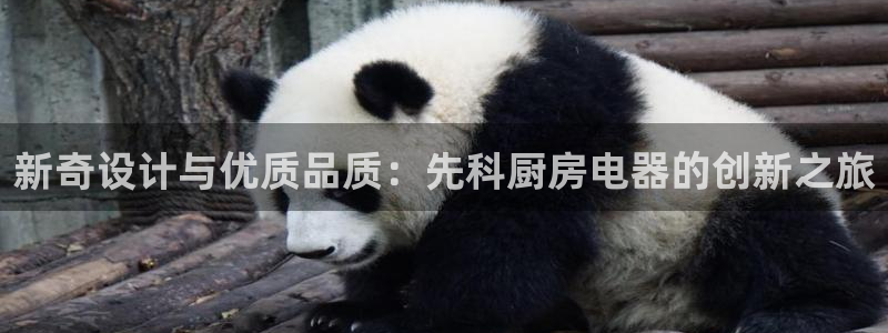 鸿运平台投资诈骗事件