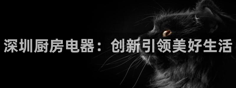 会员鸿运国际平台