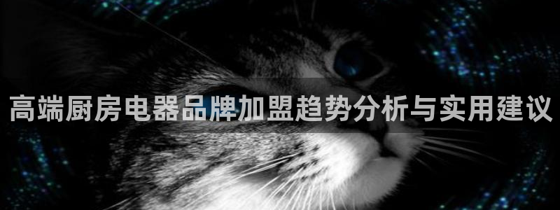 鸿运卡盟平台链接