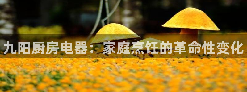 鸿运平台骗局曝光