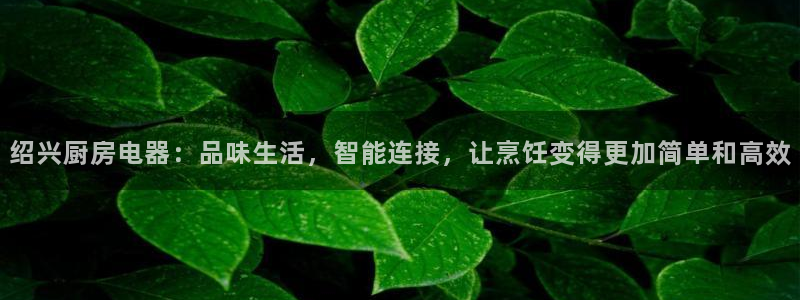 鸿运体育在线平台