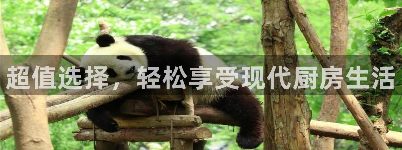 鸿运商城珠宝平台