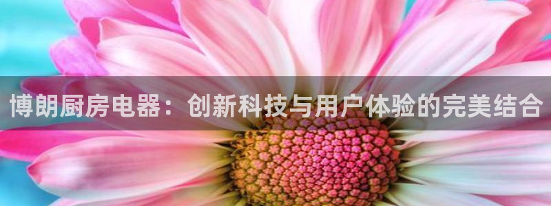 鸿运平台是骗局