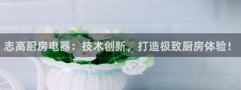 鸿运国际娱乐平台