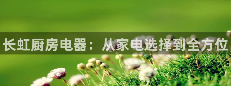 铜陵鸿运拍卖平台