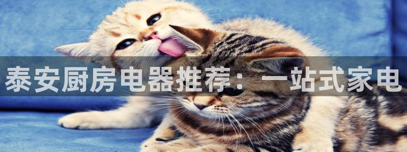 鸿运网平台是什么