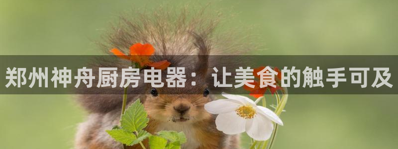 琥珀鸿运平台怎么提现