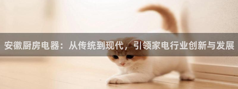 鸿运策略股票平台骗局